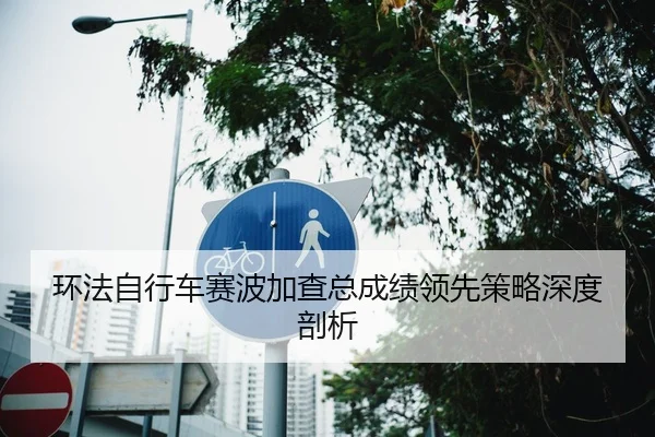 环法自行车赛波加查总成绩领先策略深度剖析