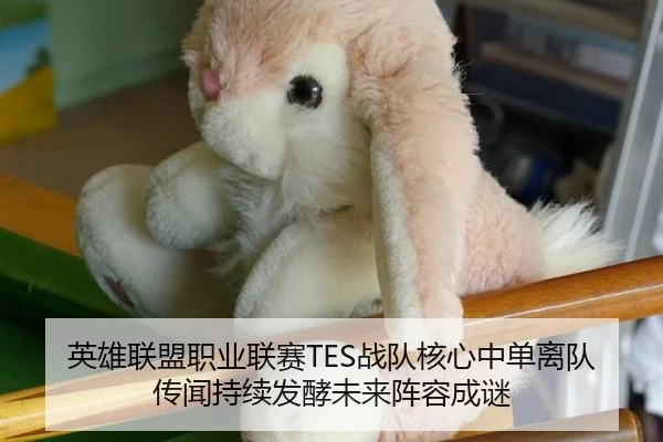 英雄联盟职业联赛TES战队核心中单离队传闻持续发酵未来阵容成谜