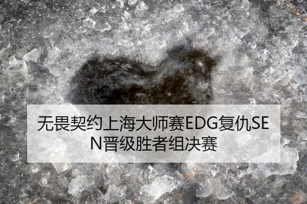 无畏契约上海大师赛EDG复仇SEN晋级胜者组决赛