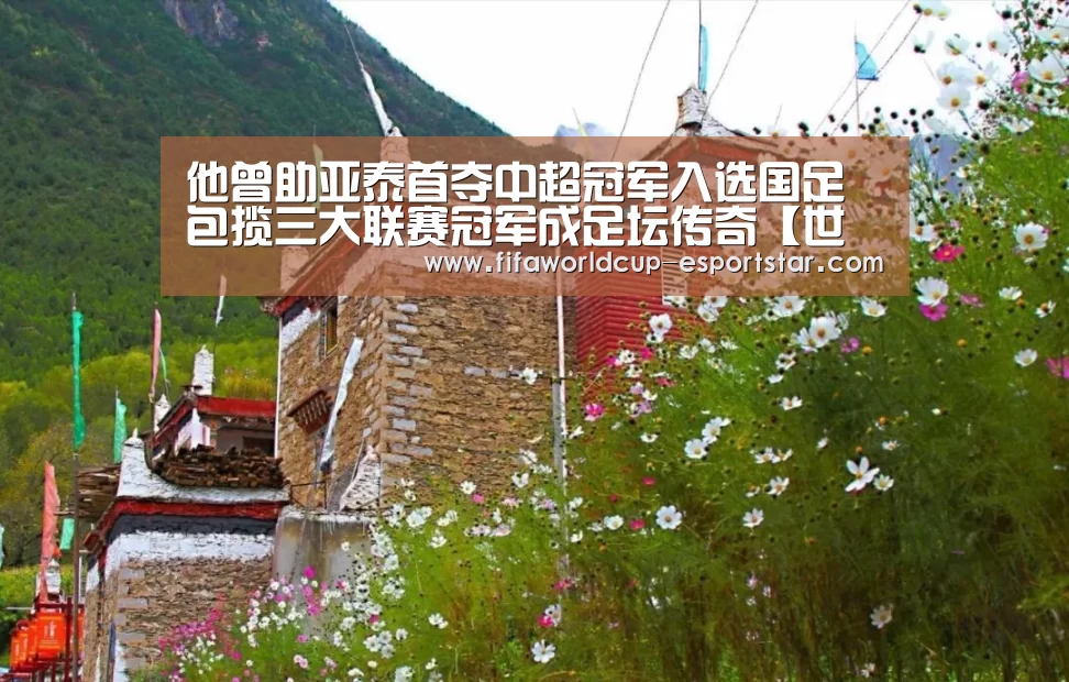 世界杯综合娱乐平台