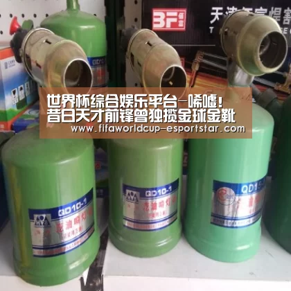 世界杯综合娱乐平台-唏嘘!昔日天才前锋曾独揽金球金靴 如今无球可踢转行卖水果(图2) 世界杯直播