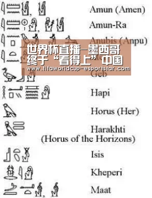 世界杯赛事直播