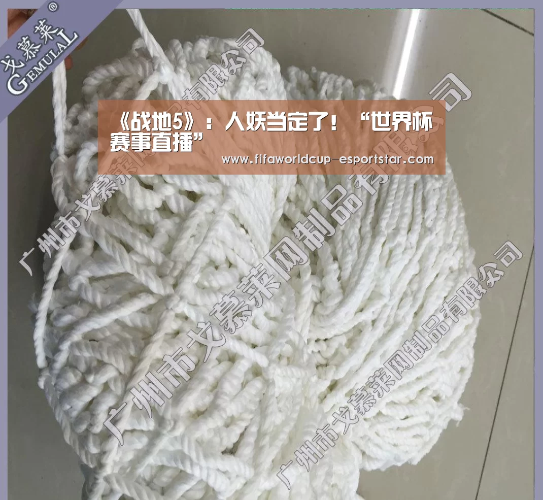世界杯赛事直播
